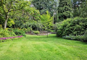 Optimiser l'expérience du jardin à Guebenhouse